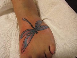 Dragonfly