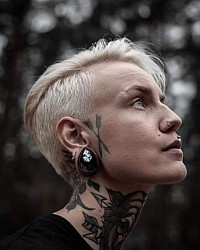 Gauges